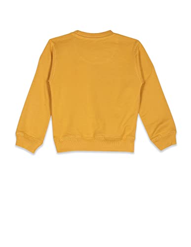 Image of U.S. Polo Assn. Kids Regular fit Cotton Crew Neck Sweatshirts