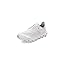 White/Glacier