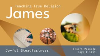 Joyful Steadfastness (James 1) cover art