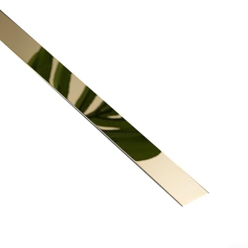 Zilimontt Striscia decorativa in acciaio inossidabile, 25 mm x 5 m, rivestimento piatto in metallo per soffitto e parete, installazione senza punzonatura, per decorazione di casa, soggiorno, hotel