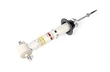 GM Genuine Parts 540-1673 (23268093) Front Shock Absorber