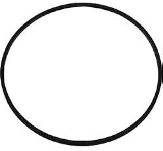 Sundance Spas Jacuzzi TheraMax/TheraFlo Pump Housing O-Ring Part Number 6500-545
