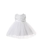 Cinda Baby Girls Embroidered Floral Party Dress Ivory 9-12 Months