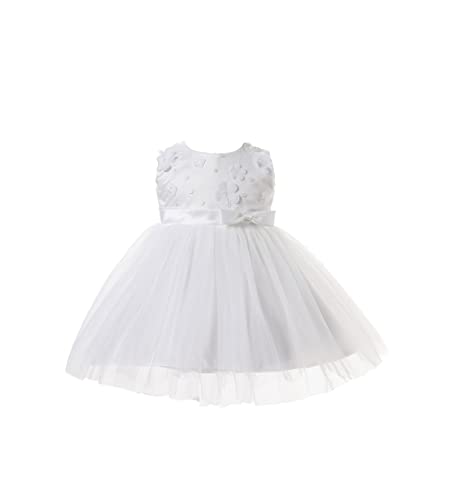 Cinda Baby Girls Embroidered Floral Party Dress Ivory 9-12 Months