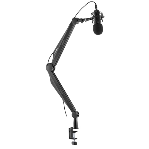 Bras de microphone rotatif Titan idéal pour le streaming et l'aménagement de bureau gaming