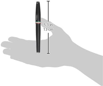 MONTEVERDE USA Aldo Domani Italia 万年筆 (マットブラック) - 極細 - 高級ペン 男女兼用 オ