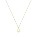 ASCOMY Dainty Gold Star of David Pendant Necklace 14k Gold Plated Cute Six Pointed Megan Star Pendant Necklaces Simple Jewelry for Women