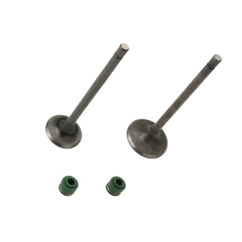 Motorcycle 2PC Intake And Valves Fit For CG110 CG125 CB125J CB125S XL125 14711-383-000 14721383000 4-Stroke Engine