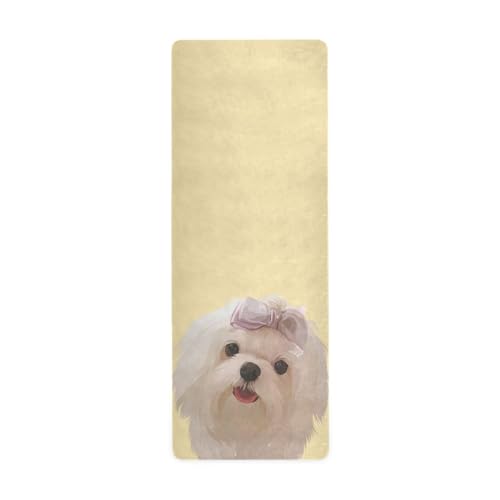 SoreSorei\\j K}bg    CG[  Aj} g[jO}bg h ܂肽 GNTTCY}bg 180x66cm tBbglX}bg seBX}bg K ̑ [obOt