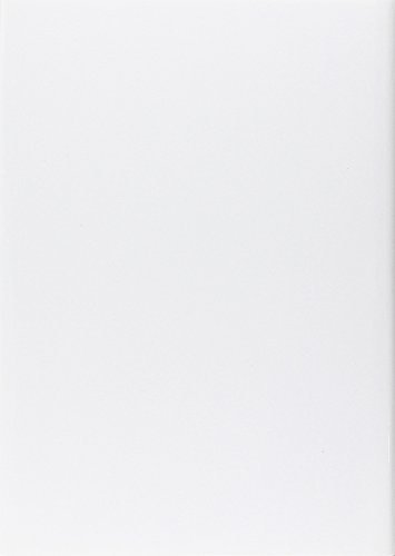 Nuovo Commentario Biblico. Atti Degli Apostoli, Lettere Di Paolo, Lettere Cattoliche, Apocalisse - 2