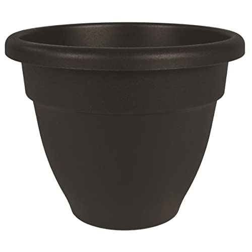 The HC Companies 8 Inch Caribbean Planter - Lightweight Indoor Outdoor Plastic Plant Pot for Herbs and Flowers, Black