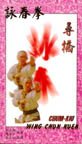 Chum Kiu Wing Chun Kuen 9629320088 Book Cover