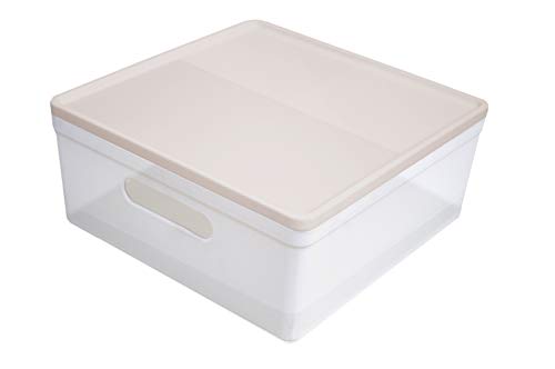 Caixa Organizadora com Tampa, Soul, Média, Cristal/Rosa, Protêa