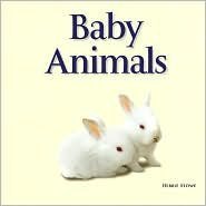 Hardcover Baby Animals By Debbie Stowe Book