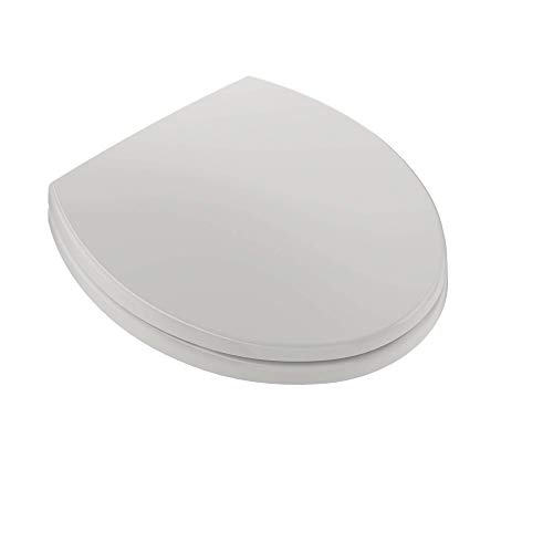 Toto Ss113#11 Transitional Softclose Round Toilet Seat, Colonial White #TOP1
