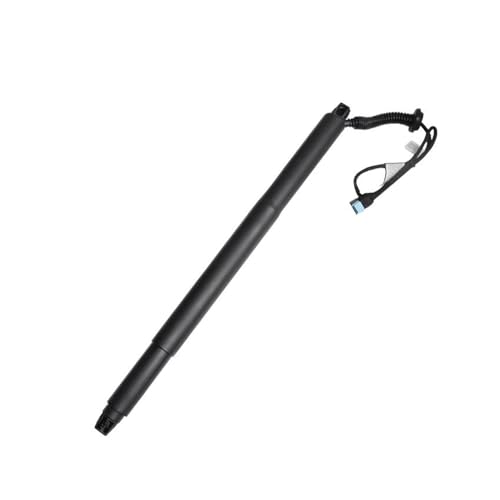 Vérin électrique de hayon bloqué BMW X6 F16 remplacement arrière droit