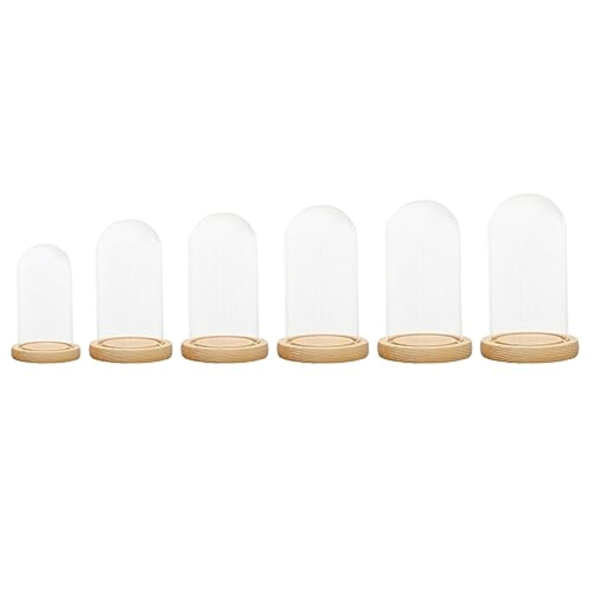 Clear Glass Dome Cover Stand with Wood Base