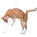 Zugesify Laser Pointer Cat Toy, Interactive Toy with Red Dot LED Light Pointer, Long Range 3 Modes Projection Playpen for Kitten Interaction,USB Recharge Pointer (1 pcs)