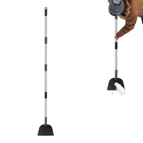 Grattoir de jardin pelle plate à long manche pour patio