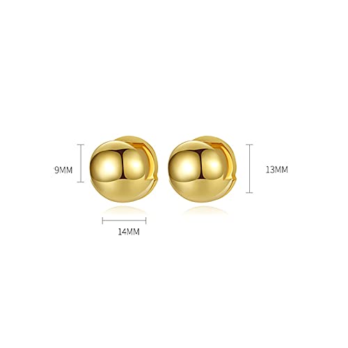 Boucles d'oreilles pour dames en argent rondes puces d'oreilles