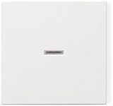GIRA Abdeckung Kontrollschalter System 55, Standard 55, E2, Event, Event Klar, Event Opak, Esprit, C