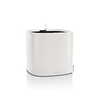 Lechuza Pflanzeinsatz für PILA Color Planter - Interismo Onlineshop Lechuza Pflanzeinsatz für PILA Color Planter - Interismo Onlineshop