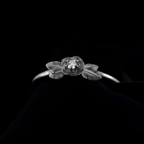 Anillos, Sports Imagen adicional