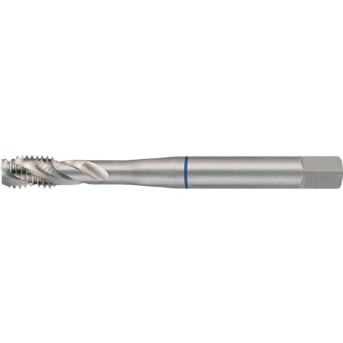 RUKO 233120 HSS Machine Tap, DIN 376, Type C/35°, M 12 x 1.75mm Thread Size, 9.0mm Shank Diameter, 10.20mm Thread Core Hole, 110.0mm Length, 24.0mm Thread Length