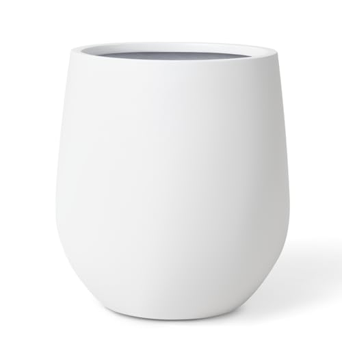 KUTE NEST Corso Large