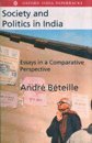 Society and Politics in India: Essays in a Comparative Perspective 0195641078 Book Cover