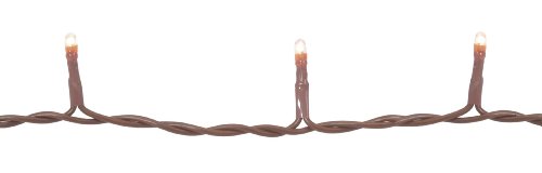 Darice LT60-5 Clear Teeny 20-Bulb Light Set with Brown Cord for Indoor Use Only