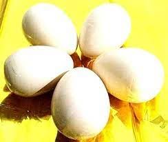 FarmCrane, Wooden Eggs - 4 Pcs / Wooden Egg Toy Playset/Pretend Play Eggs for Kids/Birthday Return Gifts/Fake Eggs/ Wooden Eggs for Kids Made in India Wooden Eggs - Set of 4 (B0CW8V68PS) Amazon Price History, Amazon Price Tracker