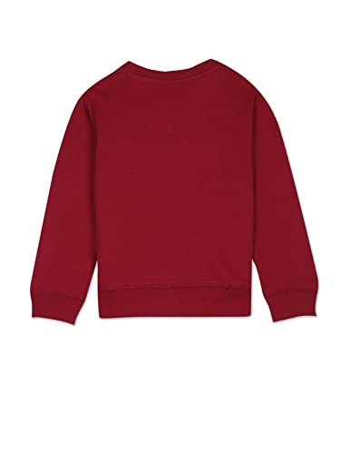 Image of U.S. Polo Assn. Boys Sweatshirts