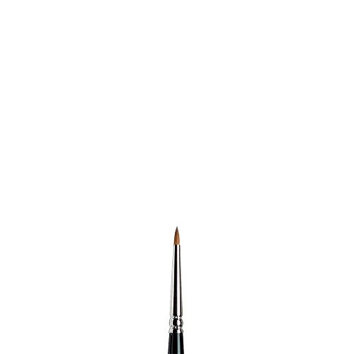 Winsor & Newton Series 7 Kolinsky Sable Miniature Watercolor Brush - Short Handle Round #2 by Winsor & Newton - Image 2