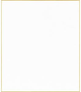 F10号色紙 画仙紙特上 （10枚セット）【SH022】