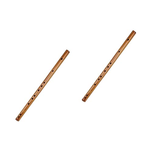 COSMEVIVI 2 sbR ȃt[g ̊yfBW qpt[gy `IȒnqJ |[^ut[g flute pJ ؐt[g ؊Ǌy ؐy tl