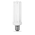 Fluorescent Light Bulbs Outdoor