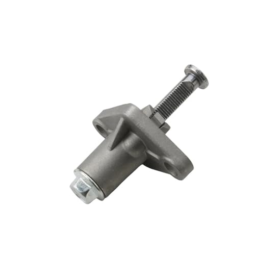 Tendeur de chaîne de came de moto haute résistance pour bloc moteur 289919