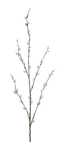Seidenblumen Roß Weidenkätzchenzweig 115cm FI künstliche Weidenkätzchen Salix künstlicher AST Palmkätzchen