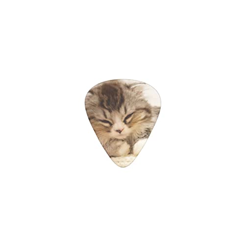 QĂIXL fUCM^[sbN guitar pick eBAhbv^ GLM^[/AR[XeBbNM^[/NVbNM^[/x[X̗KɍœK12Zbg