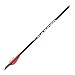 Precision Shooting Equip PSE 22" Thunder Boltz Carbon Crossbow Bolt Pack of 6