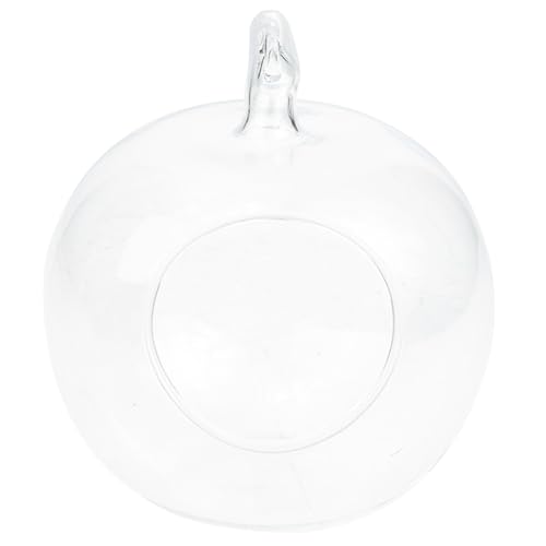 HOUDERCO Vase en Verre Forme de Pomme pour Plantes Aquatiques Décorations Hydroponiques pour Intérieur et Aménagement Paysager