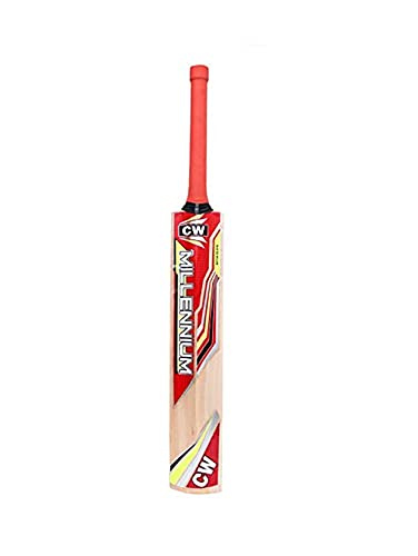 CW PACE Sports Combo in pelle palla gioco kashmir salice mazza da cricket full size con tiro pratica palla in pelle appeso con corda