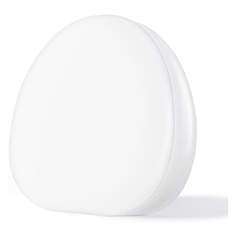 Alatinlamp SAD Lamp with Adjustable Brightness Cover