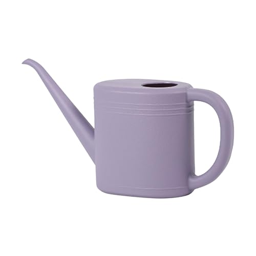 1L Small Watering Can, Durable Plastic Watering Can for Indoor & Outdoor Plants, Easy Pour Garden Jug with Sprinkler Rose, Ideal for Flowers, Houseplants & Gardening (C)