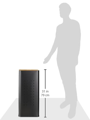 https://m.media-amazon.com/images/I/21Fo20dLwhL.jpg