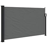 vidaXL Store latéral rétractable Anthracite 120 x 500 cm