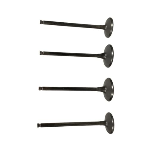 Intake Exhaust Valve Stems Set for KLX300, BR250, Z250SL