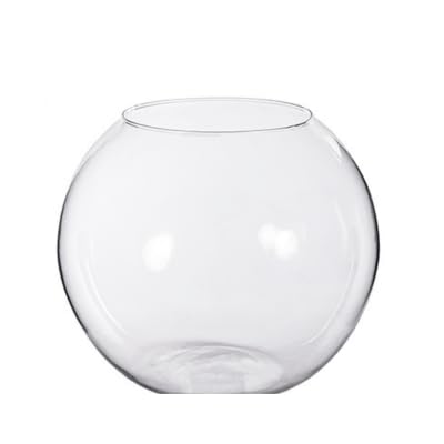 Pecera Cristal (35cm)