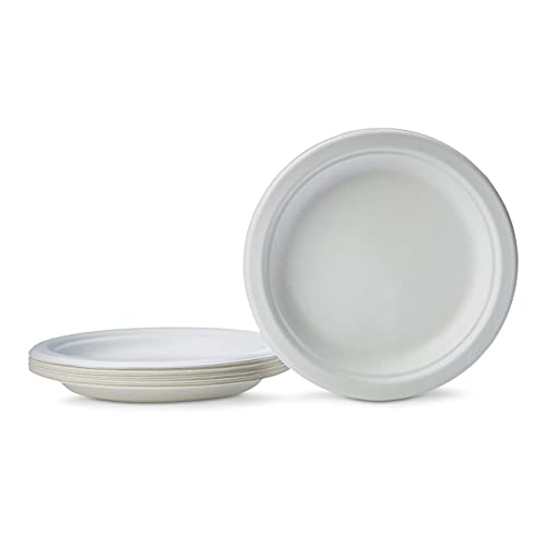 Amazon Basics Compostable Plates, 6-Inches, 125 Count #TOP1